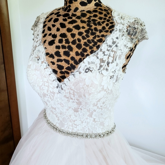 ALLURE Romantic Ivory Lace and Blush Tulle Wedding Gown - Picture 3 of 11